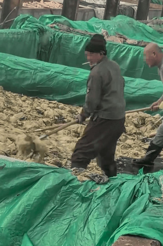 皇冠信用網出租足球
_辽宁葫芦岛一男子酸菜池中抽烟吐痰皇冠信用網出租足球
,曝光视频令人反胃!省市两级市监介入