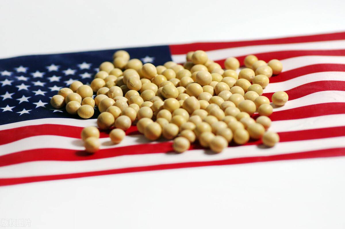 如何代理皇冠信用盘_43万吨美国大豆将运往中国如何代理皇冠信用盘，贝森特放话：下周签协议，中国将买1200万吨大豆！