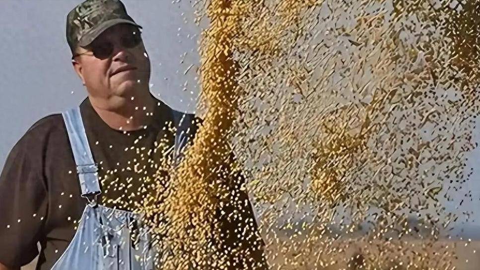 皇冠信用网代理平台_200万吨大豆烂港！巴西主动降价皇冠信用网代理平台，中国转头下单三船美国大豆，巴西自食其果了