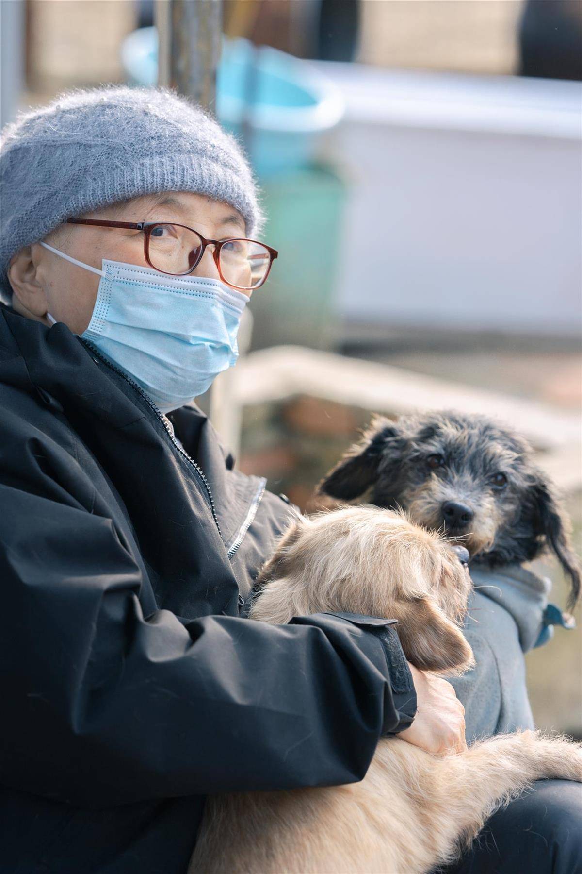 皇冠信用盘网址_合肥卖房救助流浪狗的魏阿姨离世皇冠信用盘网址，病中仍然惦记着基地的600只流浪狗，工人：不敢相信世上还有这样执着的人