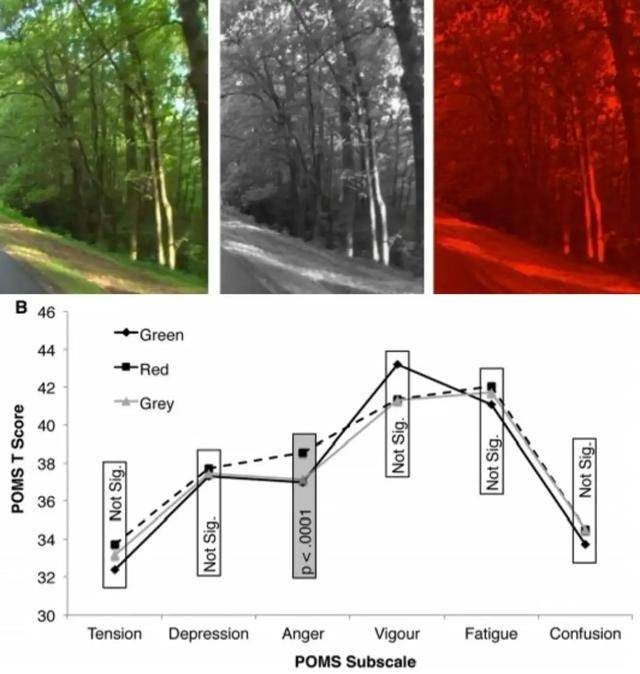 皇冠信用网平台出租_年代剧的墙皇冠信用网平台出租，为什么都是上白下绿？