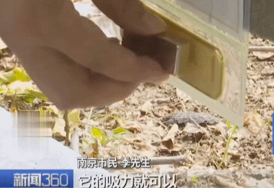 hga035会员注册
_不是慢镜头!福建舰电磁弹射速度那么快hga035会员注册
,是怎么瞬间刹车的?