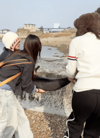 皇冠信用盘登3代理_女大学生在大连海边拍摄素材皇冠信用盘登3代理，却意外发现已死亡的它