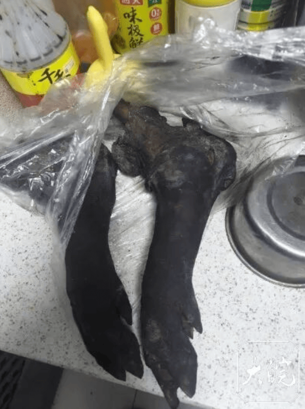 网上买球怎么买_痛心!10岁男童吃猪脚卡喉身亡网上买球怎么买,母亲:想不明白为什么一口肉就要了他的命