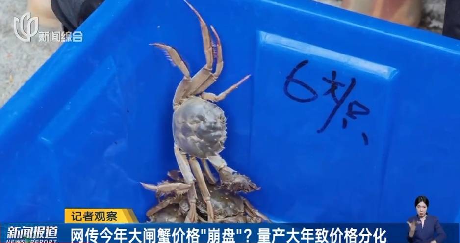 皇冠登3代理申请_价格“崩了”皇冠登3代理申请,有些跌至5元一只!这种美味已大量上市,老板:再等等,更肥更便宜……